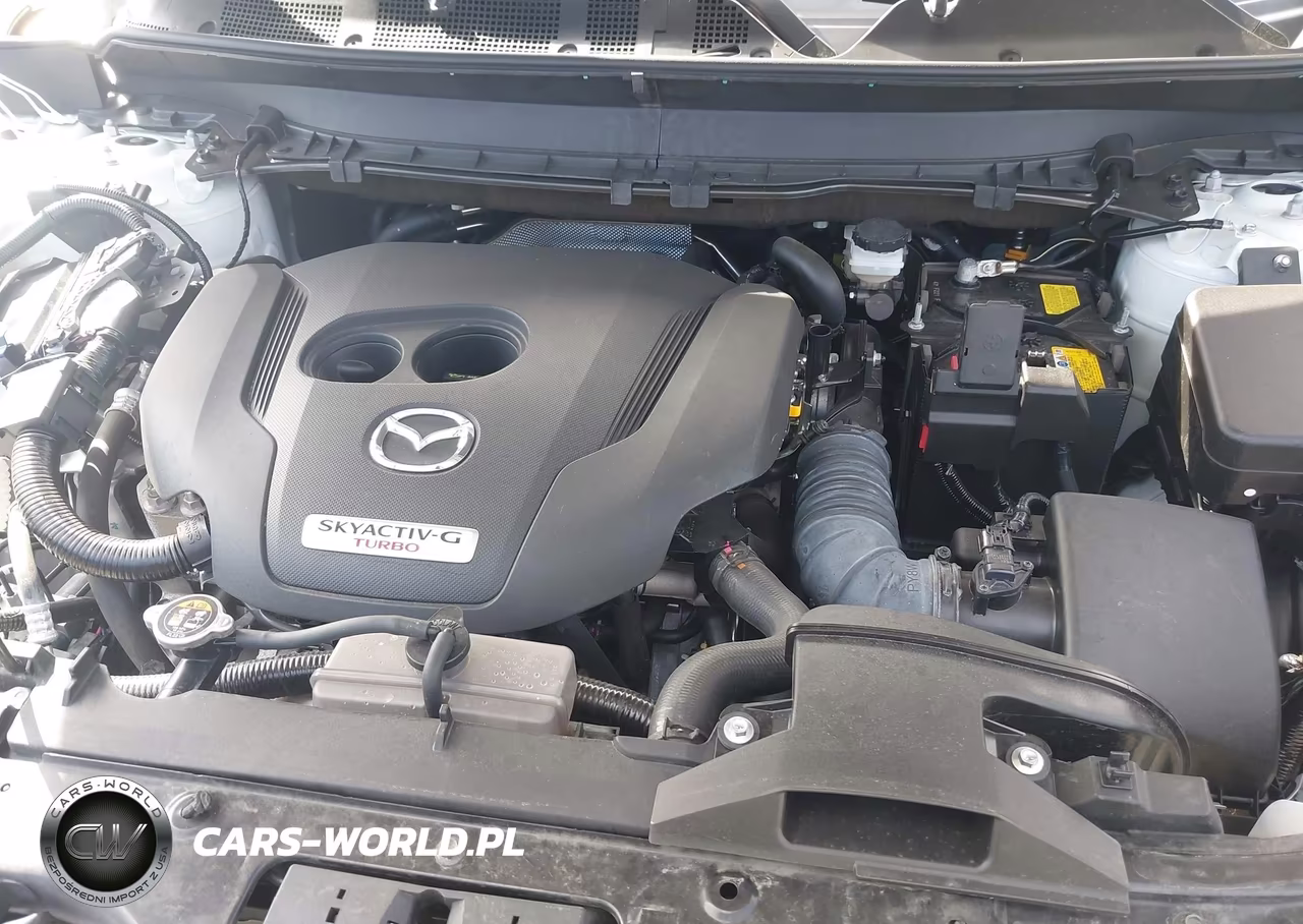 2022 Mazda Cx-9 Touring VIN:JM3TCBCY0N0602333 - 10
