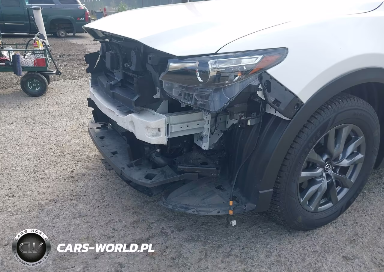 2022 Mazda Cx-9 Touring VIN:JM3TCBCY0N0602333 - 20