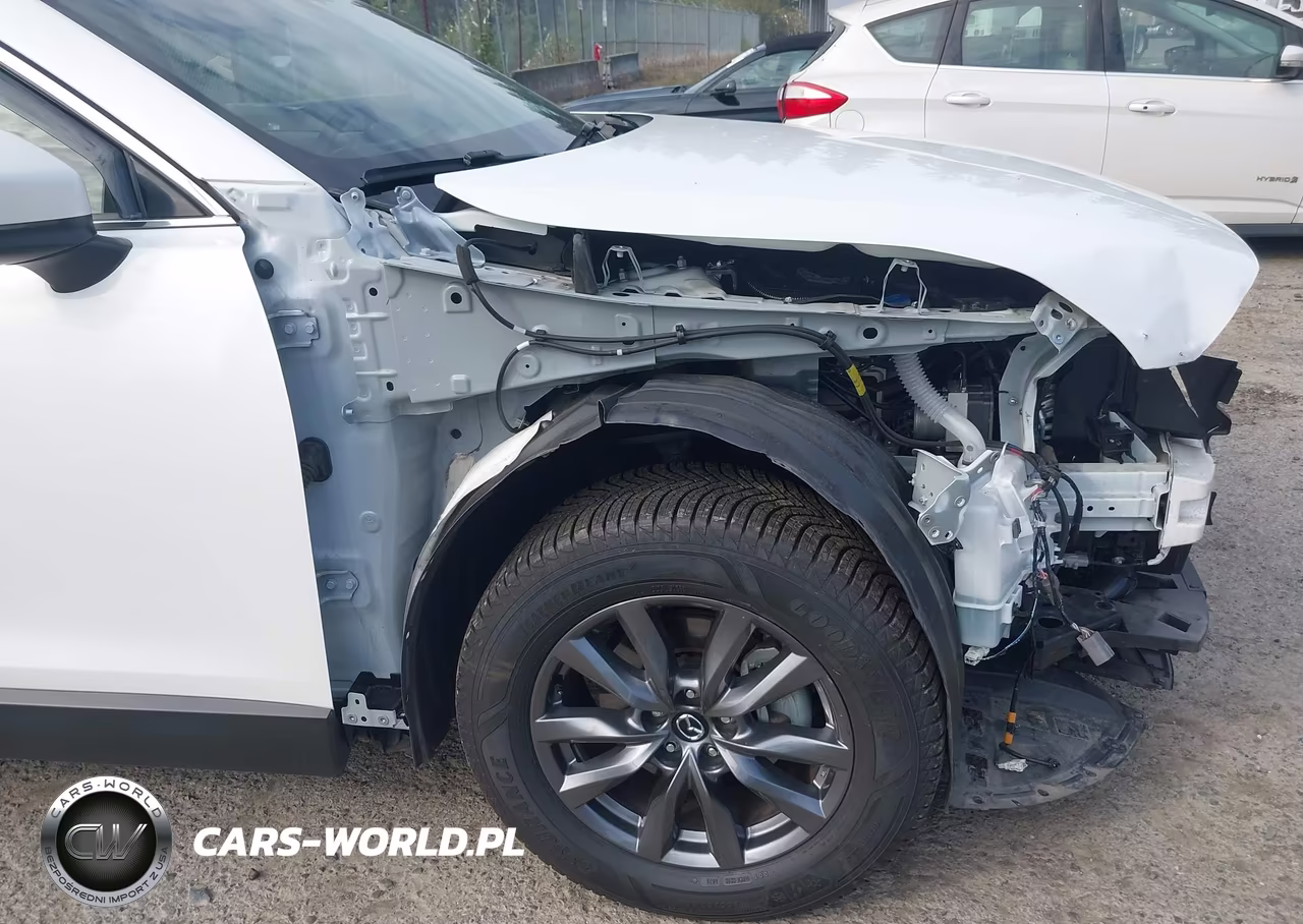 2022 Mazda Cx-9 Touring VIN:JM3TCBCY0N0602333 - 21