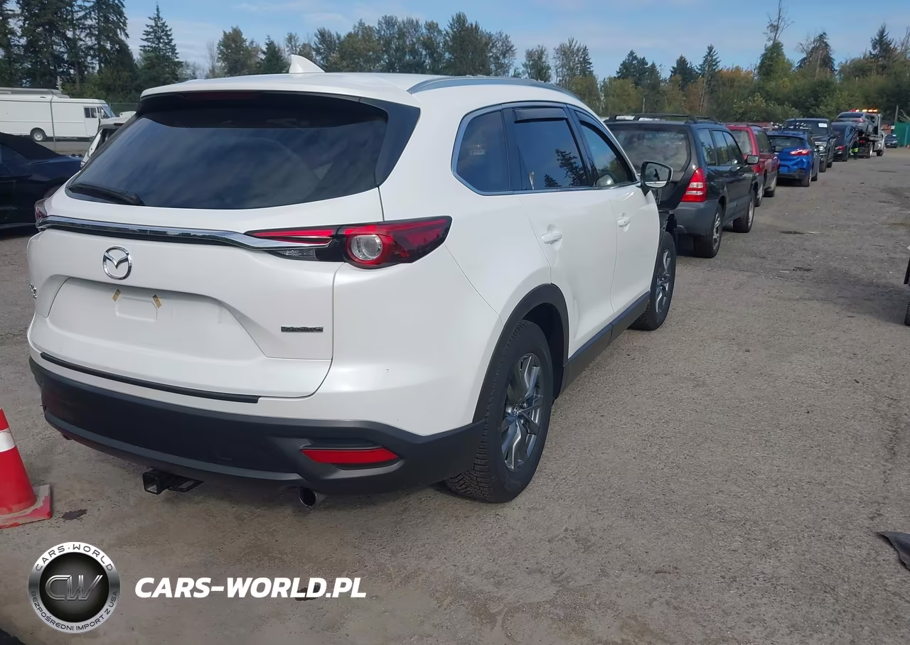 2022 Mazda Cx-9 Touring VIN:JM3TCBCY0N0602333 - 4