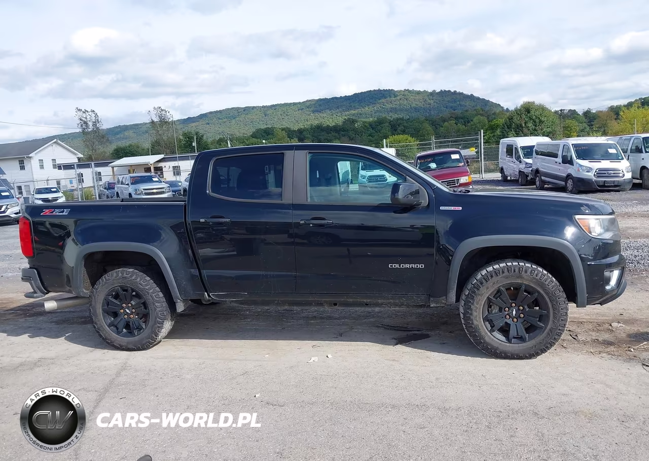 2017 Chevrolet Colorado Z71 VIN:1GCPTDE17H1229859 - 13