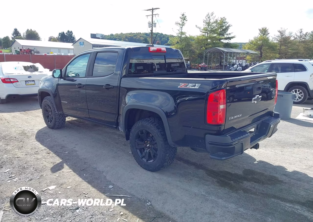 2017 Chevrolet Colorado Z71 VIN:1GCPTDE17H1229859 - 3