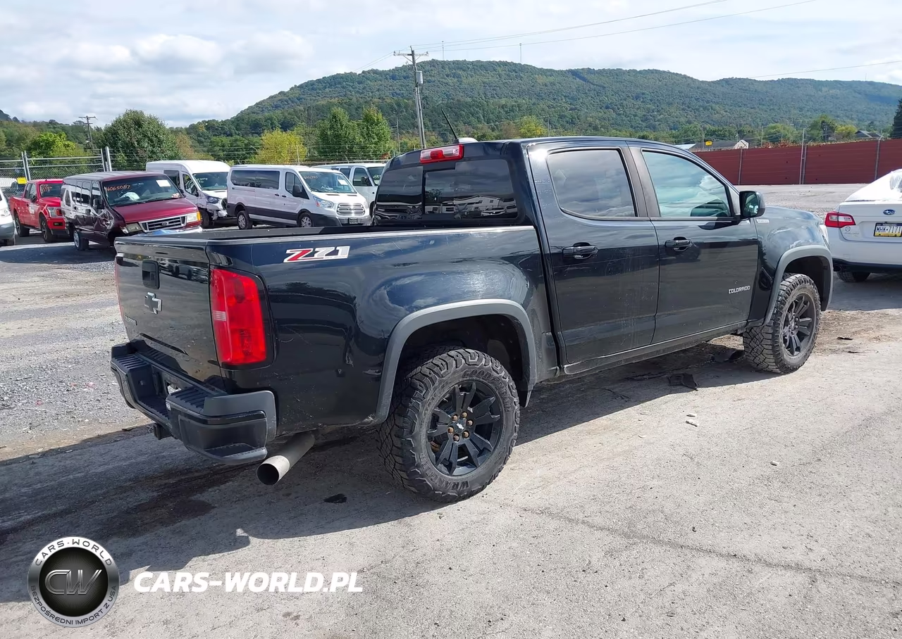 2017 Chevrolet Colorado Z71 VIN:1GCPTDE17H1229859 - 4