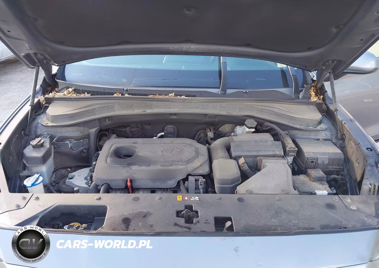 2019 Hyundai Santa Fe Se VIN:5NMS2CAD3KH096389 - 10
