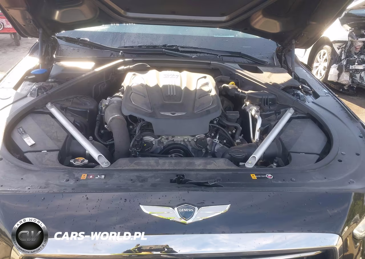 2019 Genesis G90 3.3T Premium VIN:KMTF34JA7KU056823 - 10