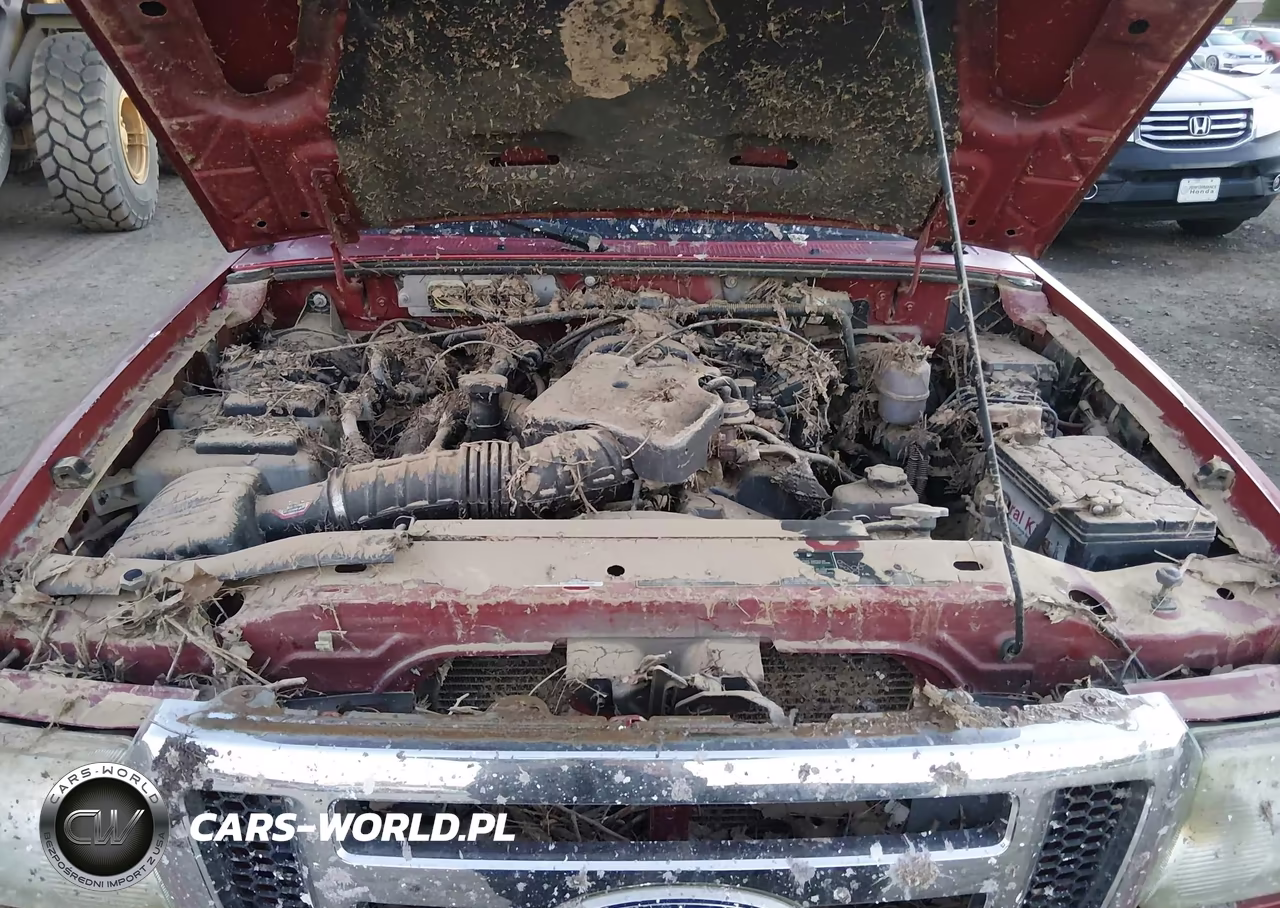 2011 Ford Ranger Xlt VIN:1FTLR4FE3BPA04437 - 10