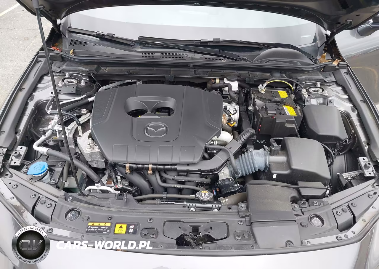 2023 Mazda 3 VIN:JM1BPALM3P1618801 - 10