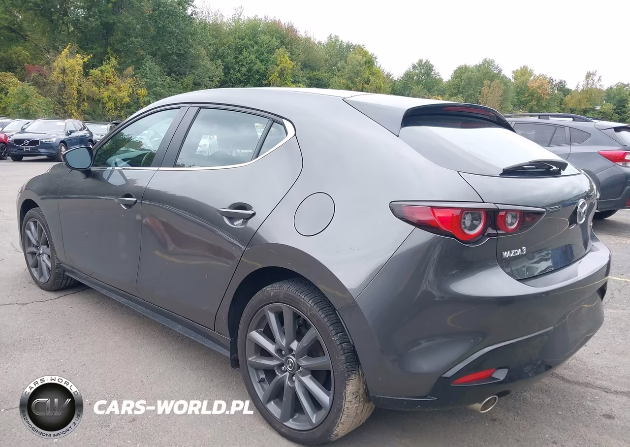 2023 Mazda 3 VIN:JM1BPALM3P1618801 - 3
