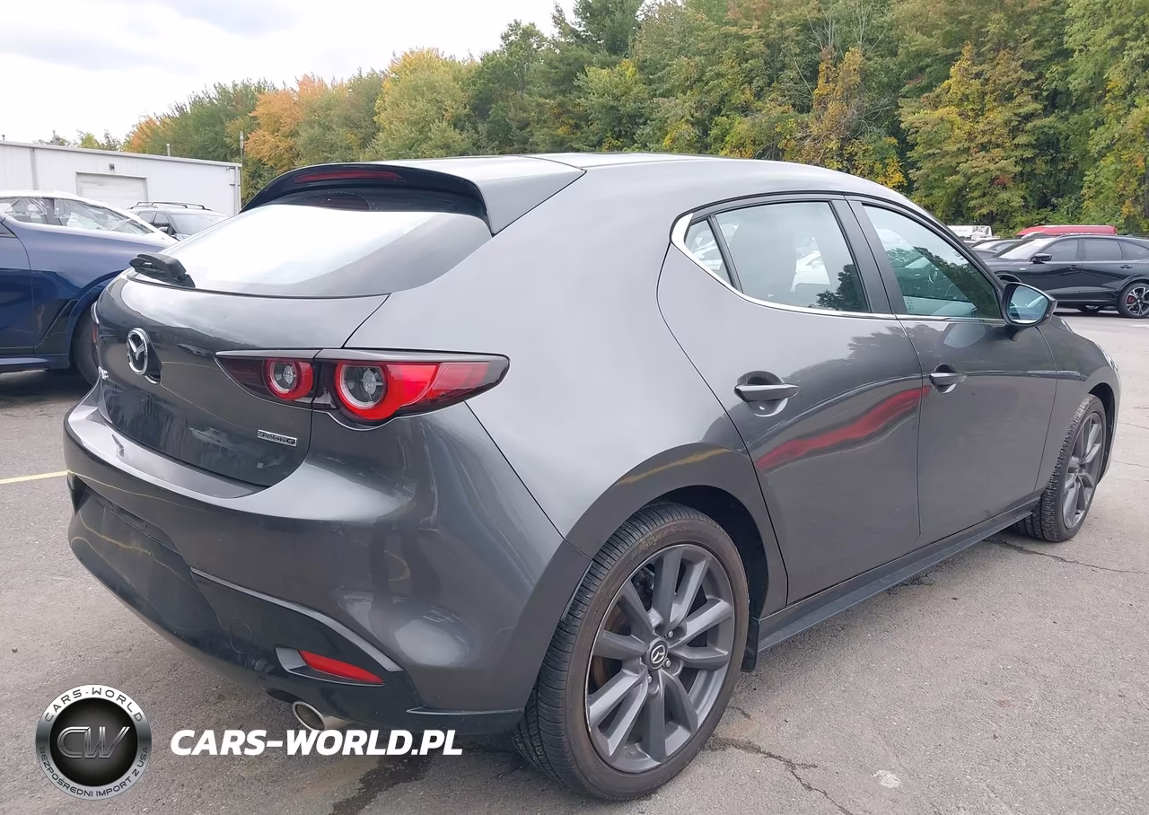 2023 Mazda 3 VIN:JM1BPALM3P1618801 - 4
