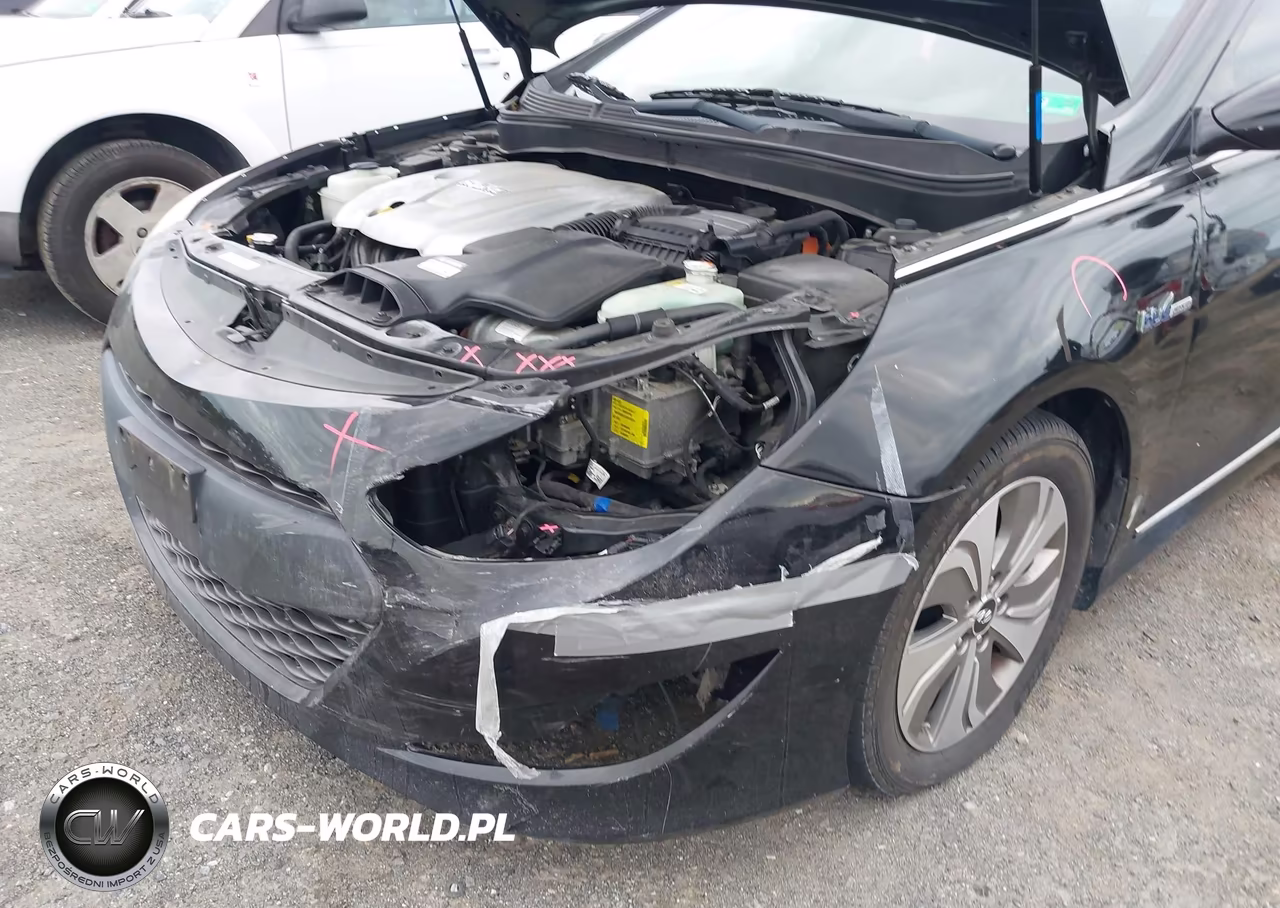 2014 Hyundai Sonata Hybrid Limited VIN:KMHEC4A43EA109166 - 13