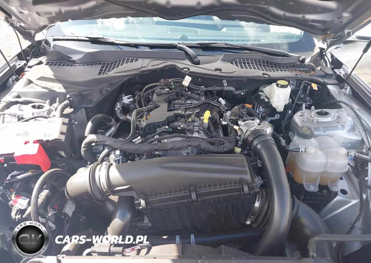 2026 Ford Mustang Ecoboost Premium Fastback VIN:1FA6P8TH4T5104462 - 10