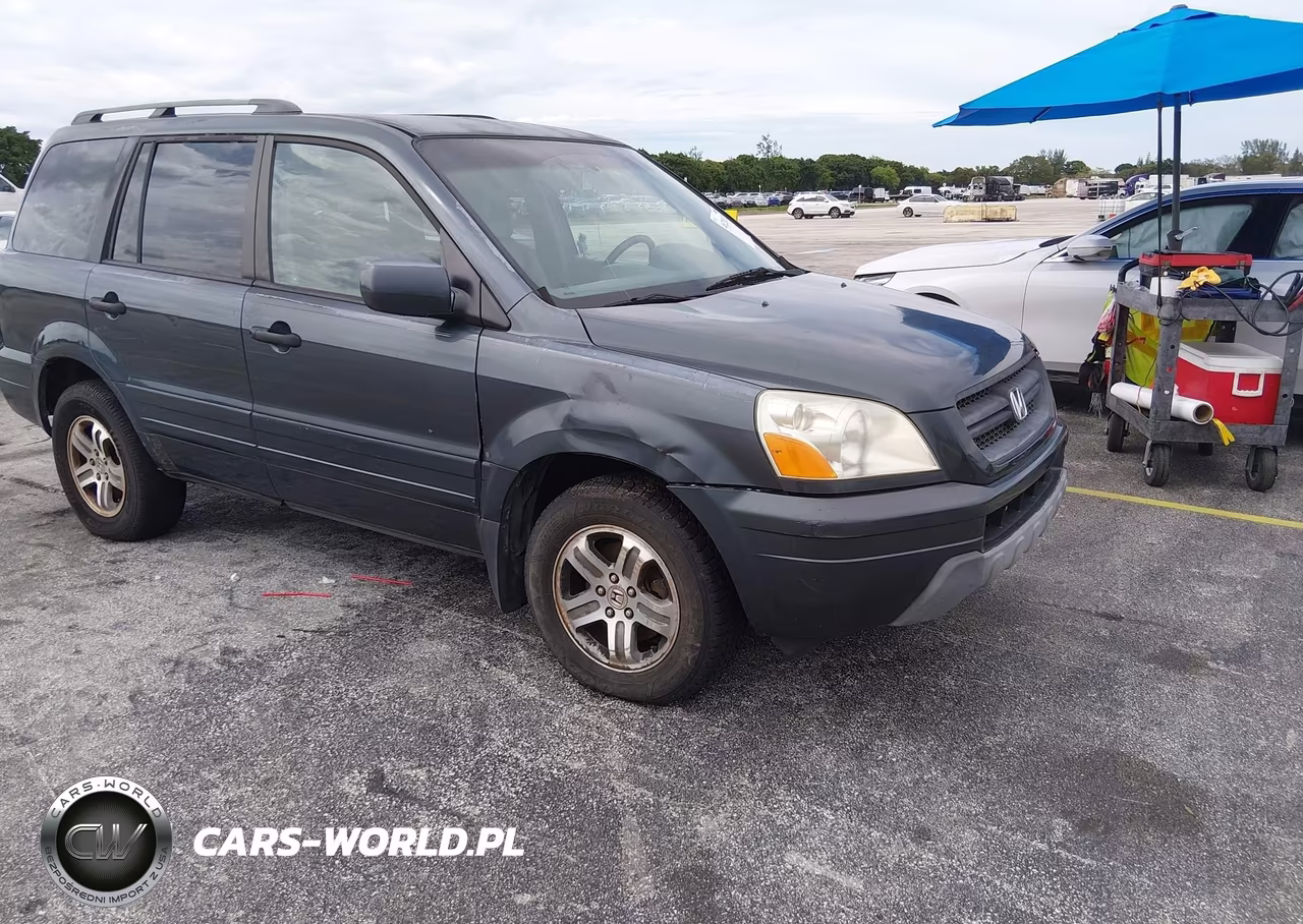 2004 Honda Pilot VIN:5FNYF185X4B007343 - 1