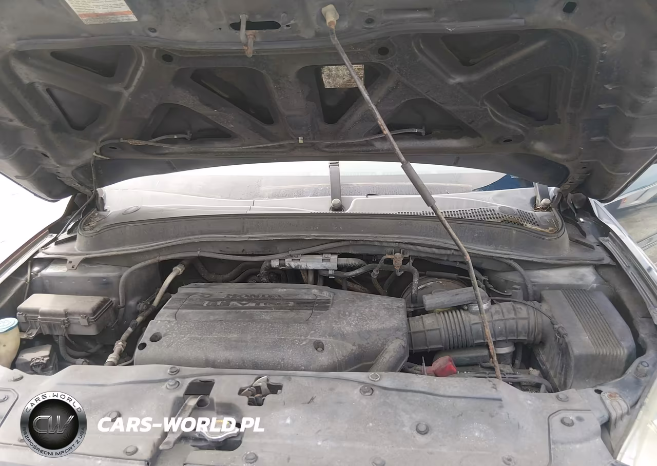 2004 Honda Pilot VIN:5FNYF185X4B007343 - 10