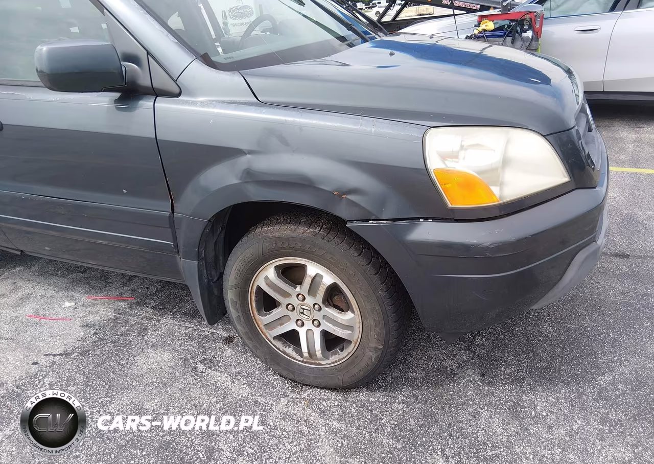 2004 Honda Pilot VIN:5FNYF185X4B007343 - 12
