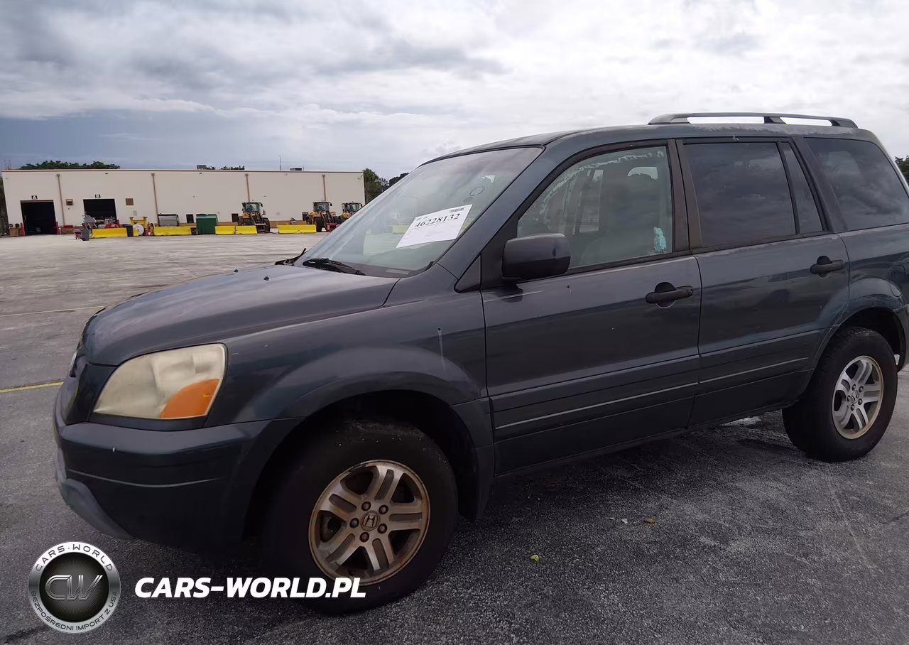 2004 Honda Pilot VIN:5FNYF185X4B007343 - 2