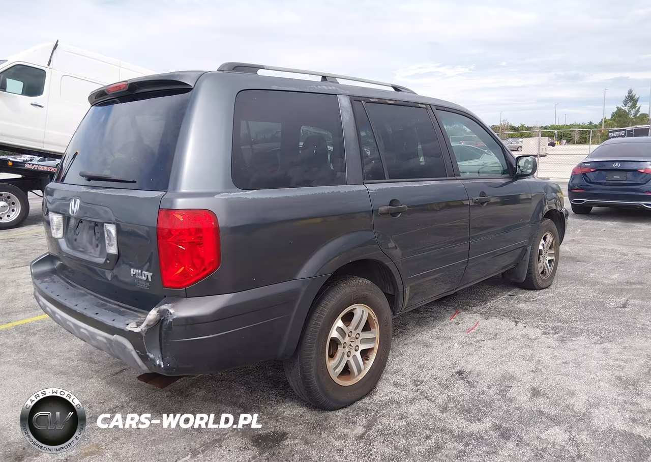 2004 Honda Pilot VIN:5FNYF185X4B007343 - 6