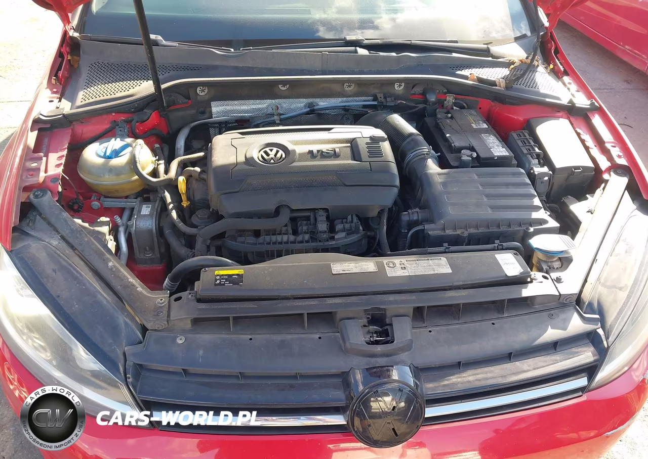 2015 Volkswagen Golf Tsi S 4-Door VIN:3VW217AU1FM029994 - 10