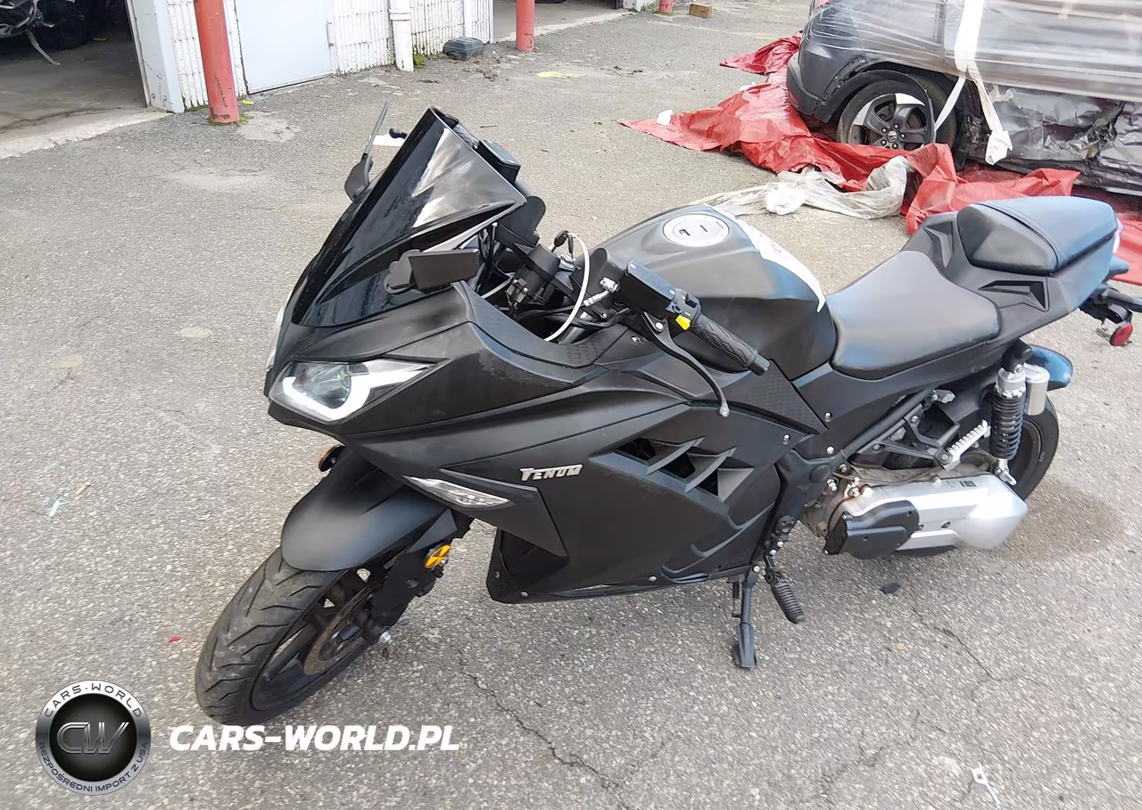 2024 Venom Ghost VIN:LL0TDNPE9RY160270 - 9