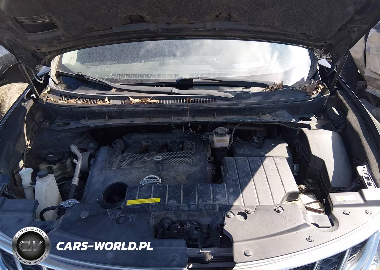 2013 Nissan Murano Le VIN:JN8AZ1MU1DW207534 - 10
