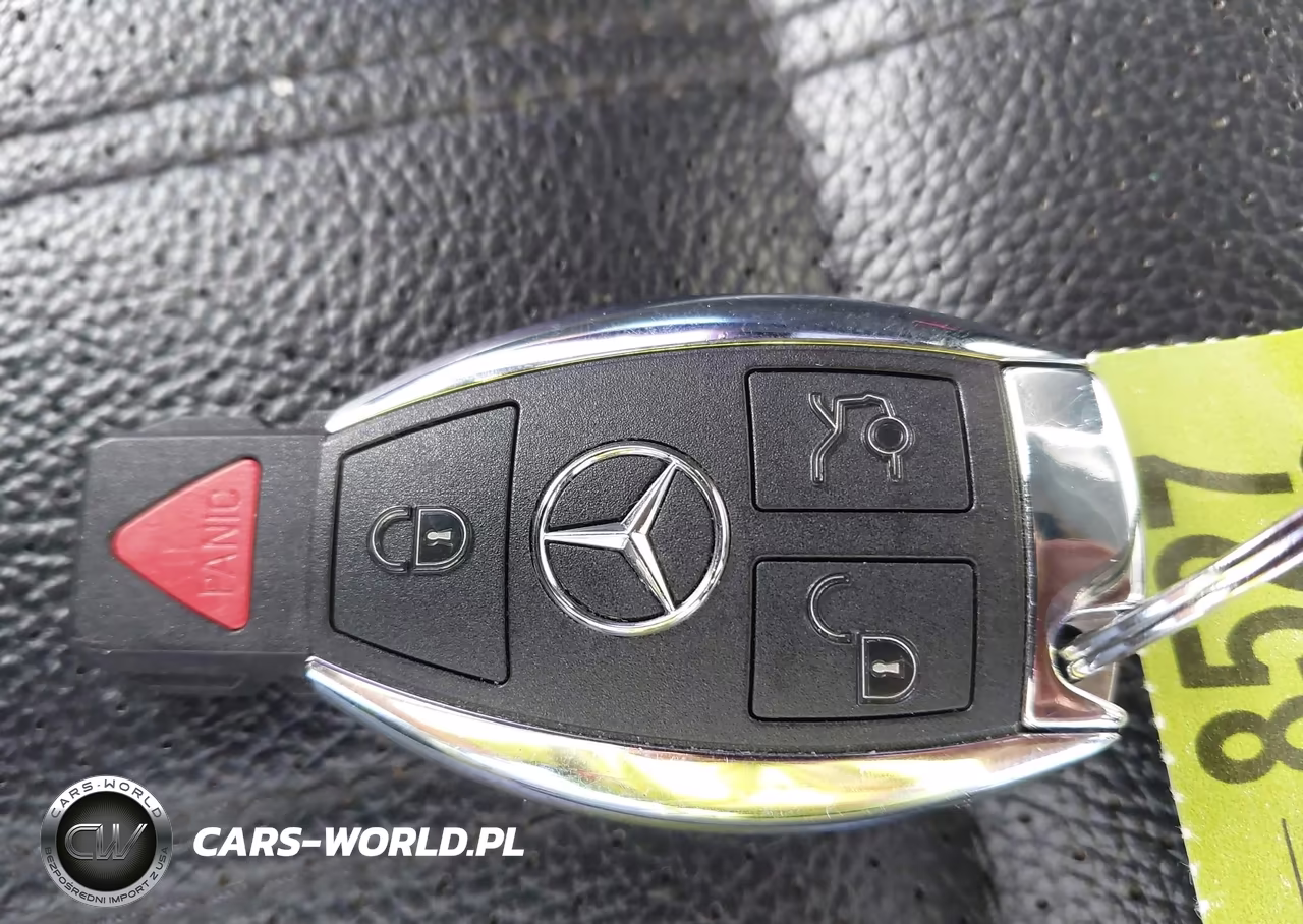 MERCEDES-BENZ GL 450 4MA VIN:4JGDF6EE8FA486515 - 11