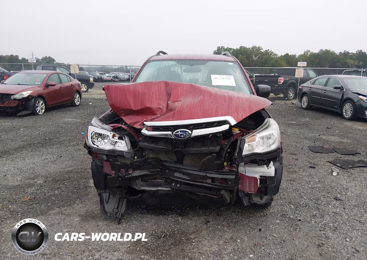 2018 Subaru Forester 2.5I VIN:JF2SJABC1JH590118 - 13