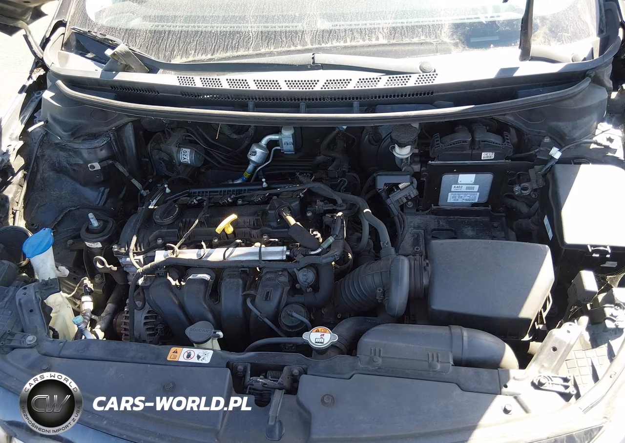 2014 Kia Forte Lx VIN:KNAFK4A68E5068648 - 10