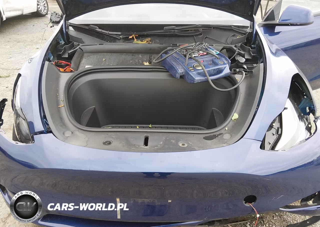 2023 Tesla Model Y Awd-Long Range Dual Motor All-Wheel Drive VIN:7SAYGAEE6PF834801 - 10