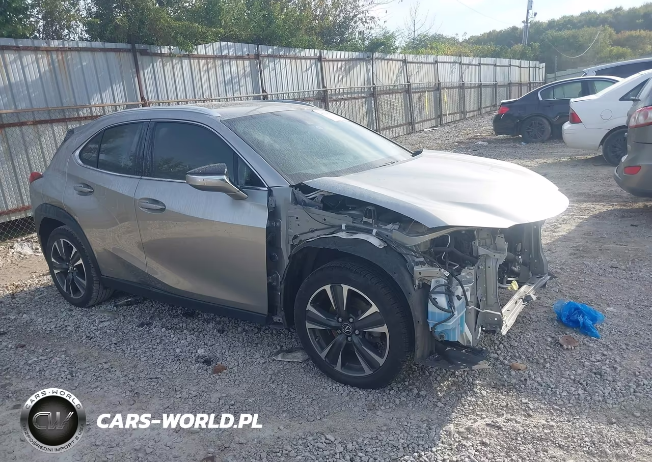 2019 Lexus Ux 200 VIN:JTHY3JBH3K2001720 - 1