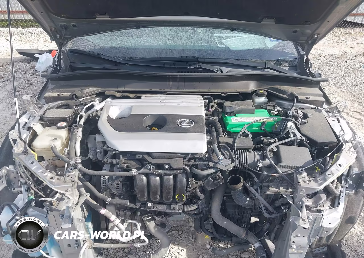 2019 Lexus Ux 200 VIN:JTHY3JBH3K2001720 - 10