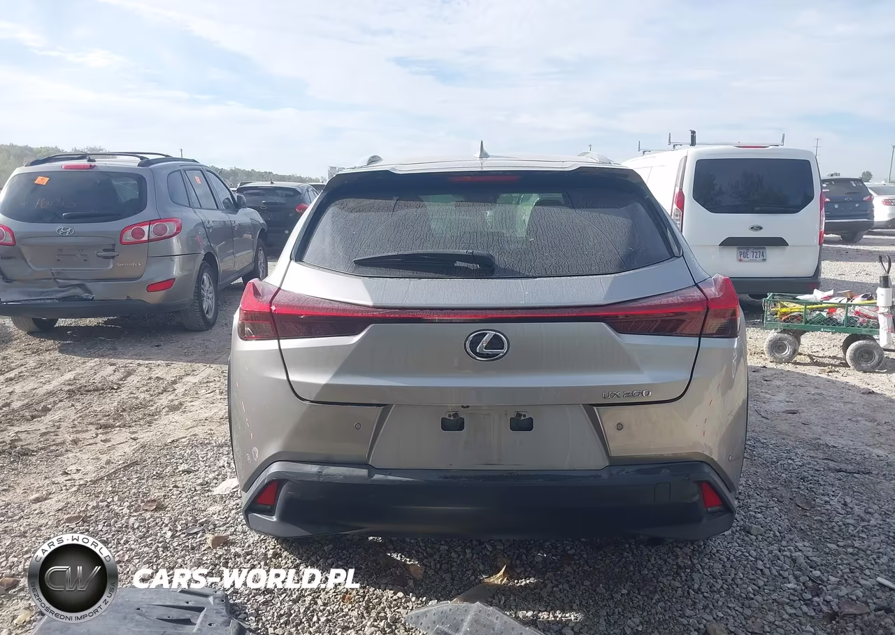 2019 Lexus Ux 200 VIN:JTHY3JBH3K2001720 - 17