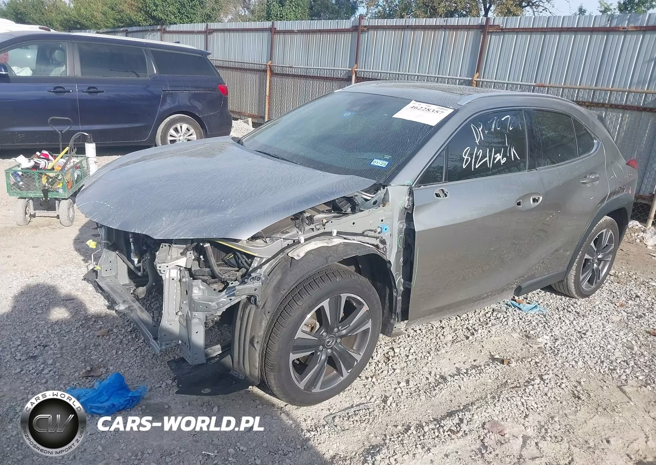 2019 Lexus Ux 200 VIN:JTHY3JBH3K2001720 - 2