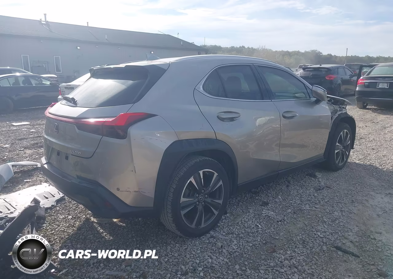 2019 Lexus Ux 200 VIN:JTHY3JBH3K2001720 - 4