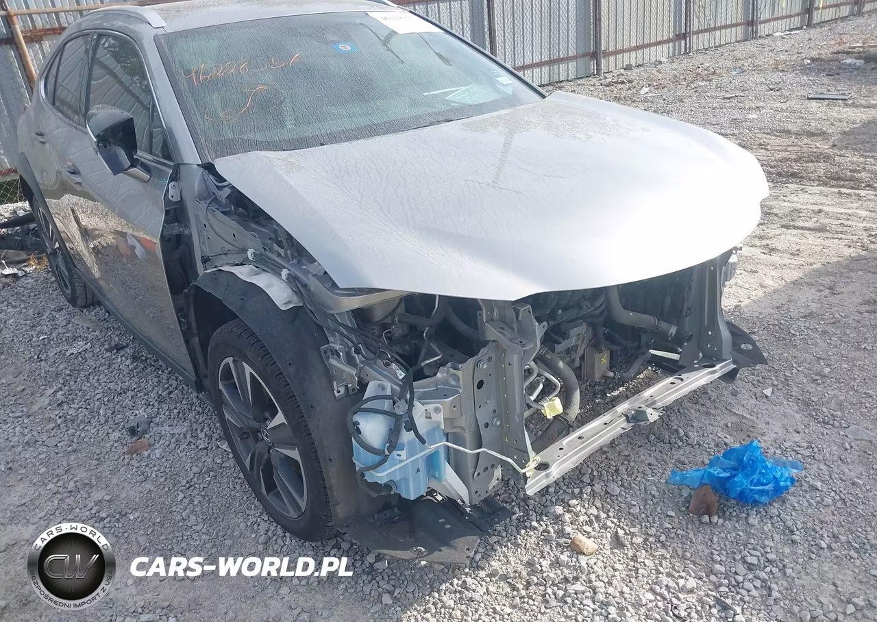 2019 Lexus Ux 200 VIN:JTHY3JBH3K2001720 - 6