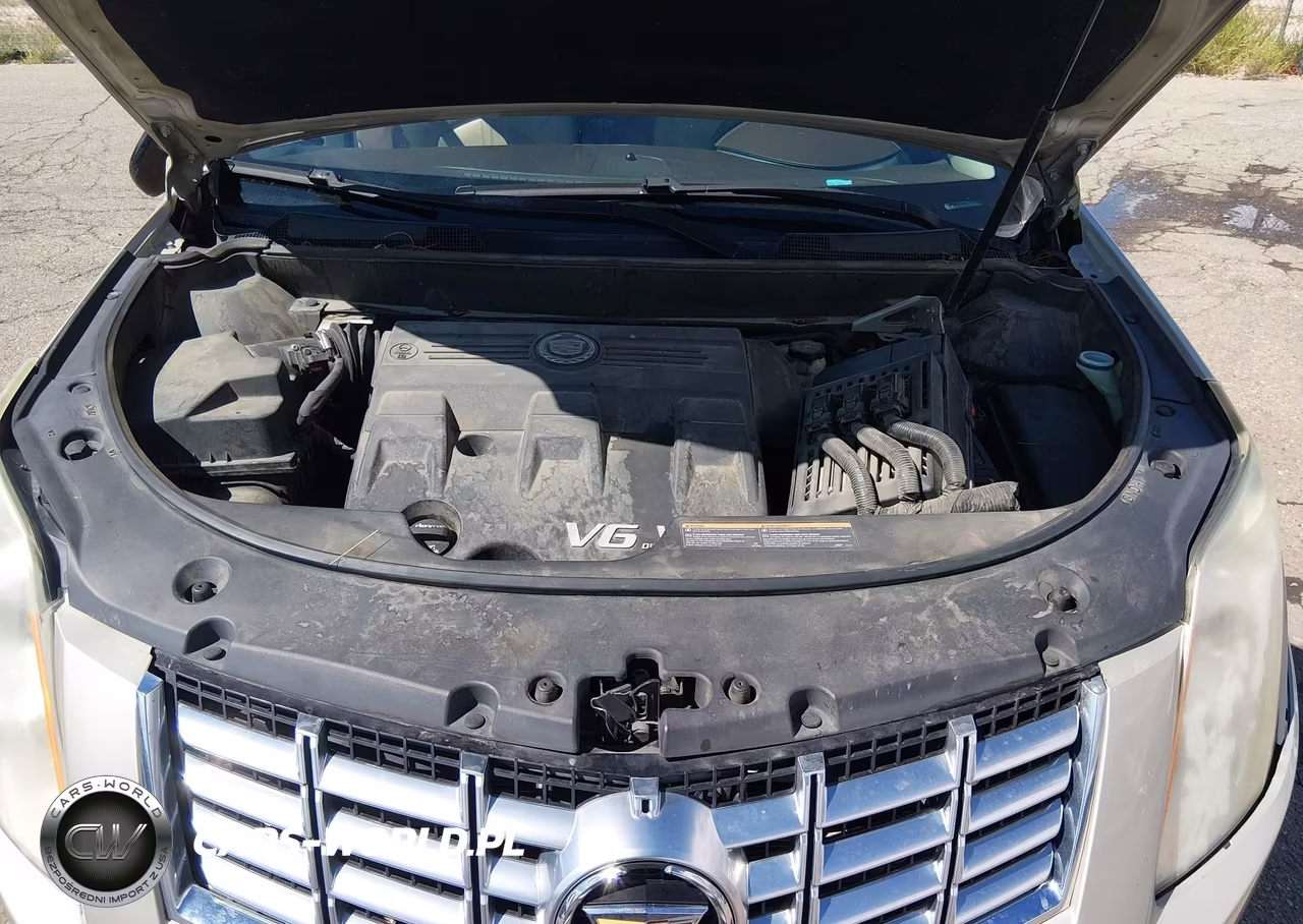2016 Cadillac Srx Premium Collection VIN:3GYFNDE32GS521112 - 10