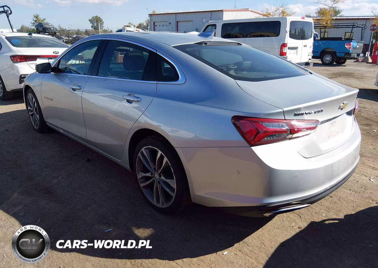 2019 Chevrolet Malibu Premier VIN:1G1ZE5SX8KF213240 - 3