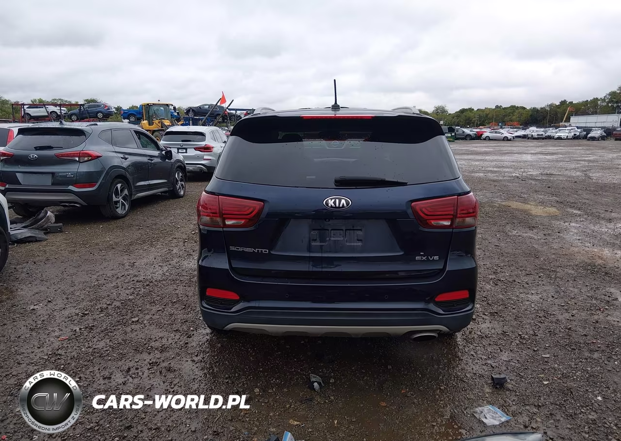 2020 Kia Sorento 3.3L Ex VIN:5XYPH4A51LG677470 - 17