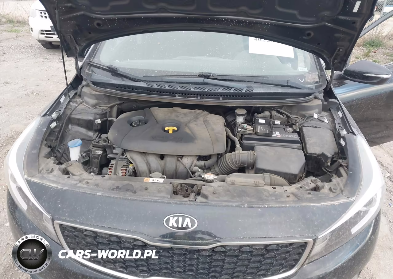 2017 Kia Forte Lx VIN:KNAFK5A84H5705918 - 10