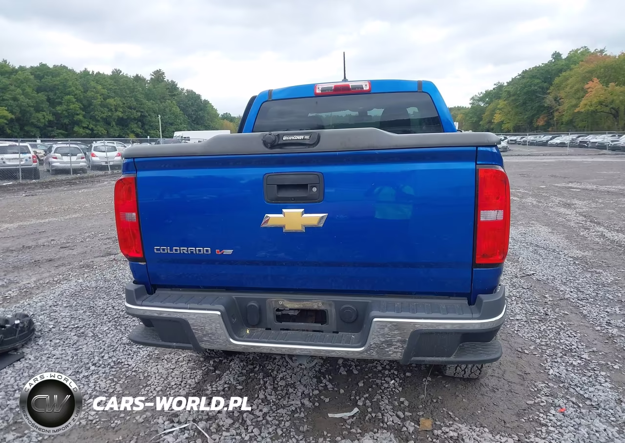 2018 Chevrolet Colorado Wt VIN:1GCGTBEN7J1209026 - 17