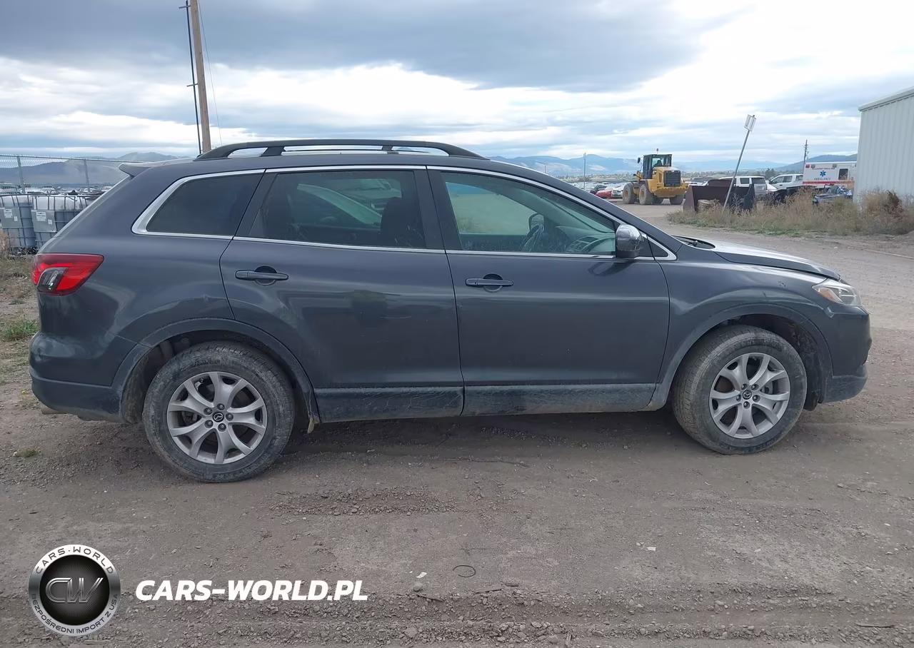 2014 Mazda Cx-9 Touring VIN:JM3TB3CV7E0442241 - 13