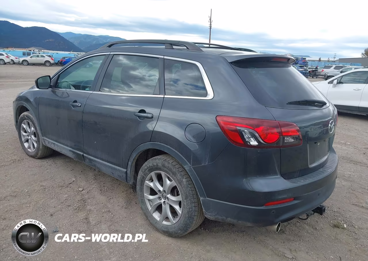 2014 Mazda Cx-9 Touring VIN:JM3TB3CV7E0442241 - 3