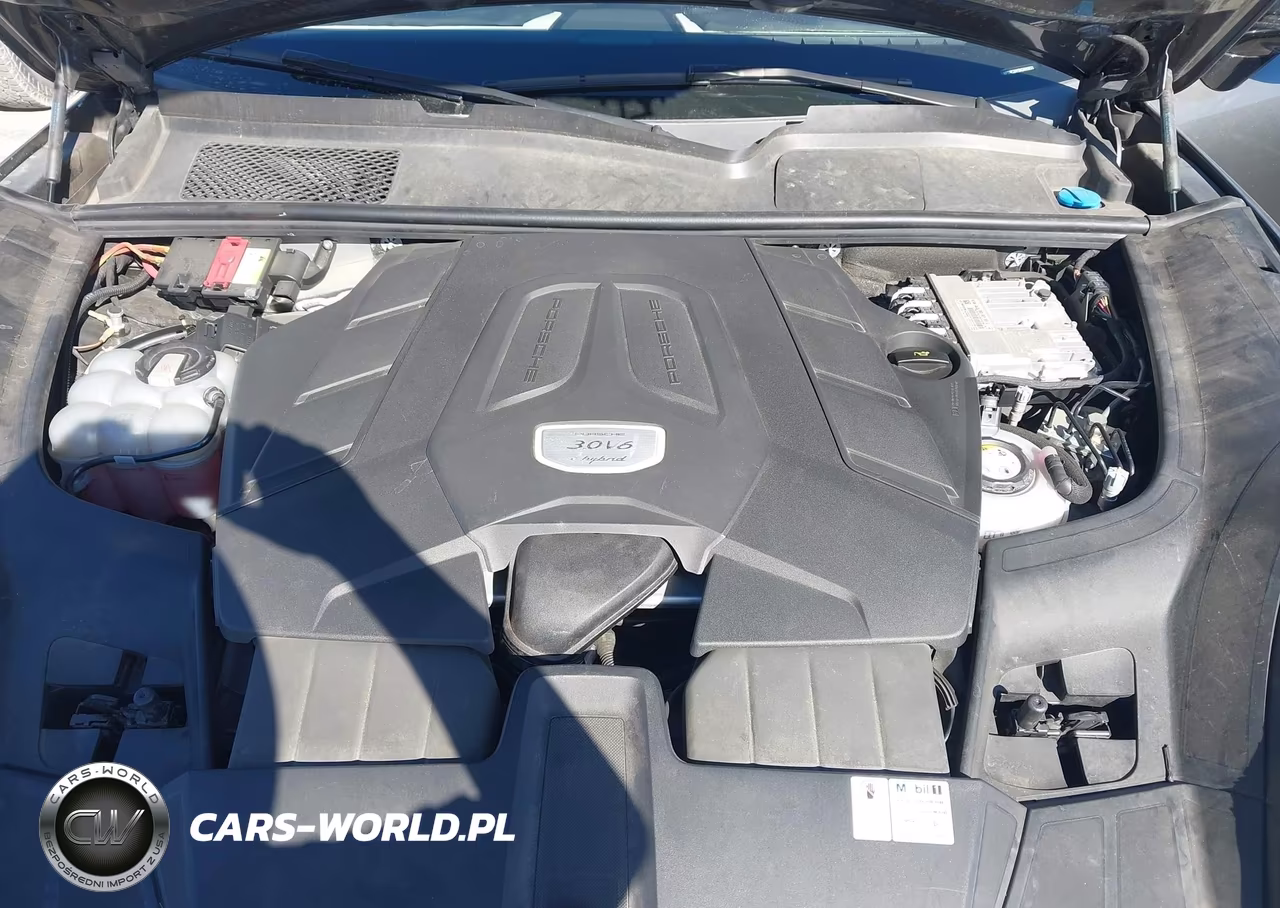 2019 Porsche Cayenne E-Hybrid VIN:WP1AE2AY5KDA50831 - 10
