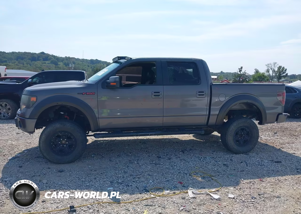 2013 Ford F-150 Fx4 VIN:1FTFW1ETXDKD82632 - 14