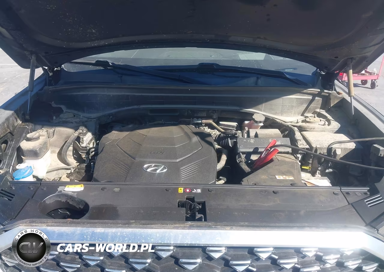 2021 Hyundai Palisade Calligraphy VIN:KM8R7DHE4MU185853 - 10