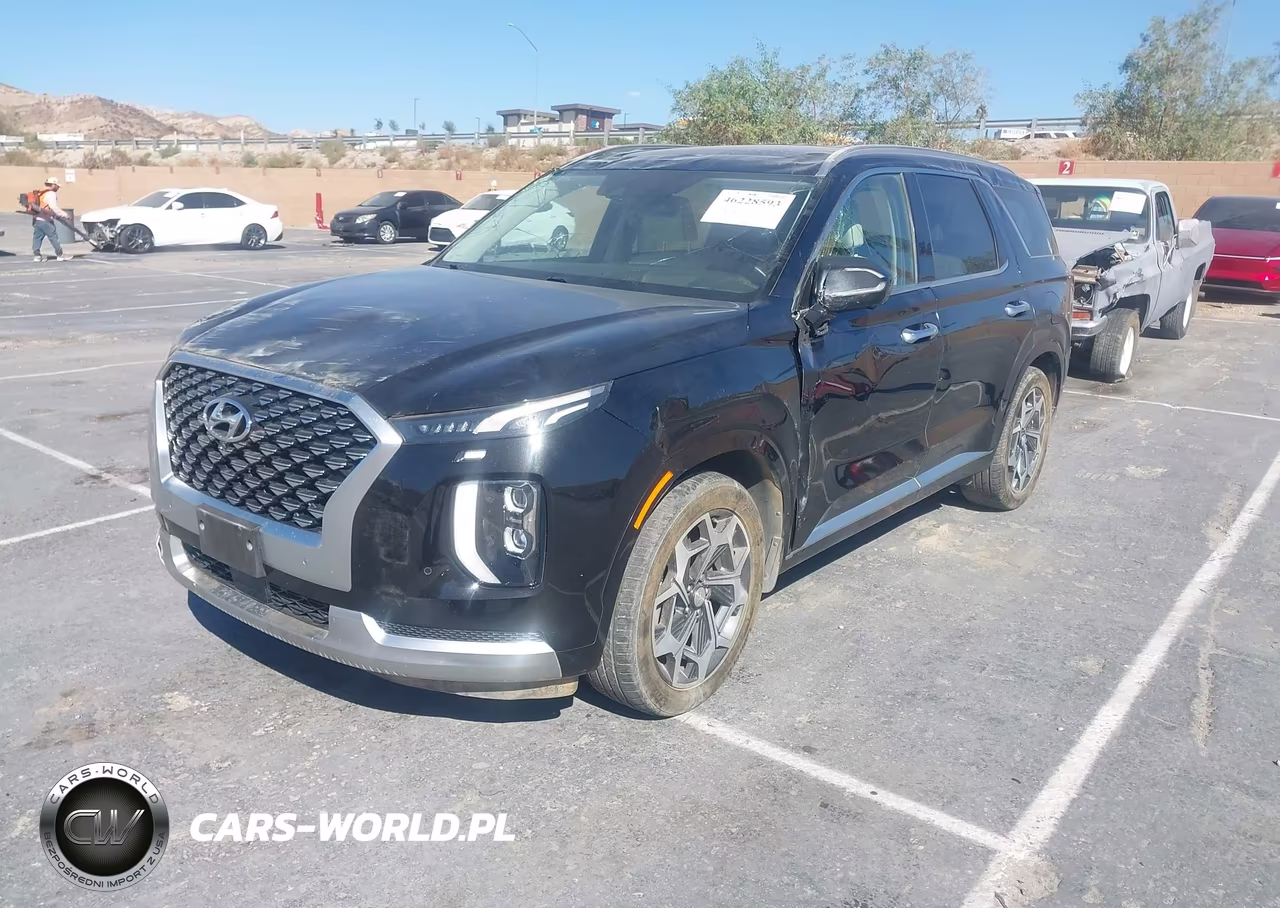 2021 Hyundai Palisade Calligraphy VIN:KM8R7DHE4MU185853 - 2