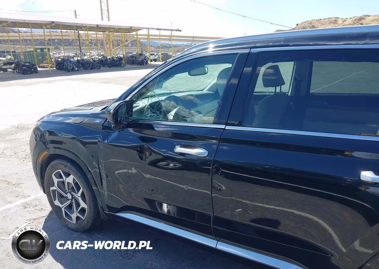 2021 Hyundai Palisade Calligraphy VIN:KM8R7DHE4MU185853 - 20