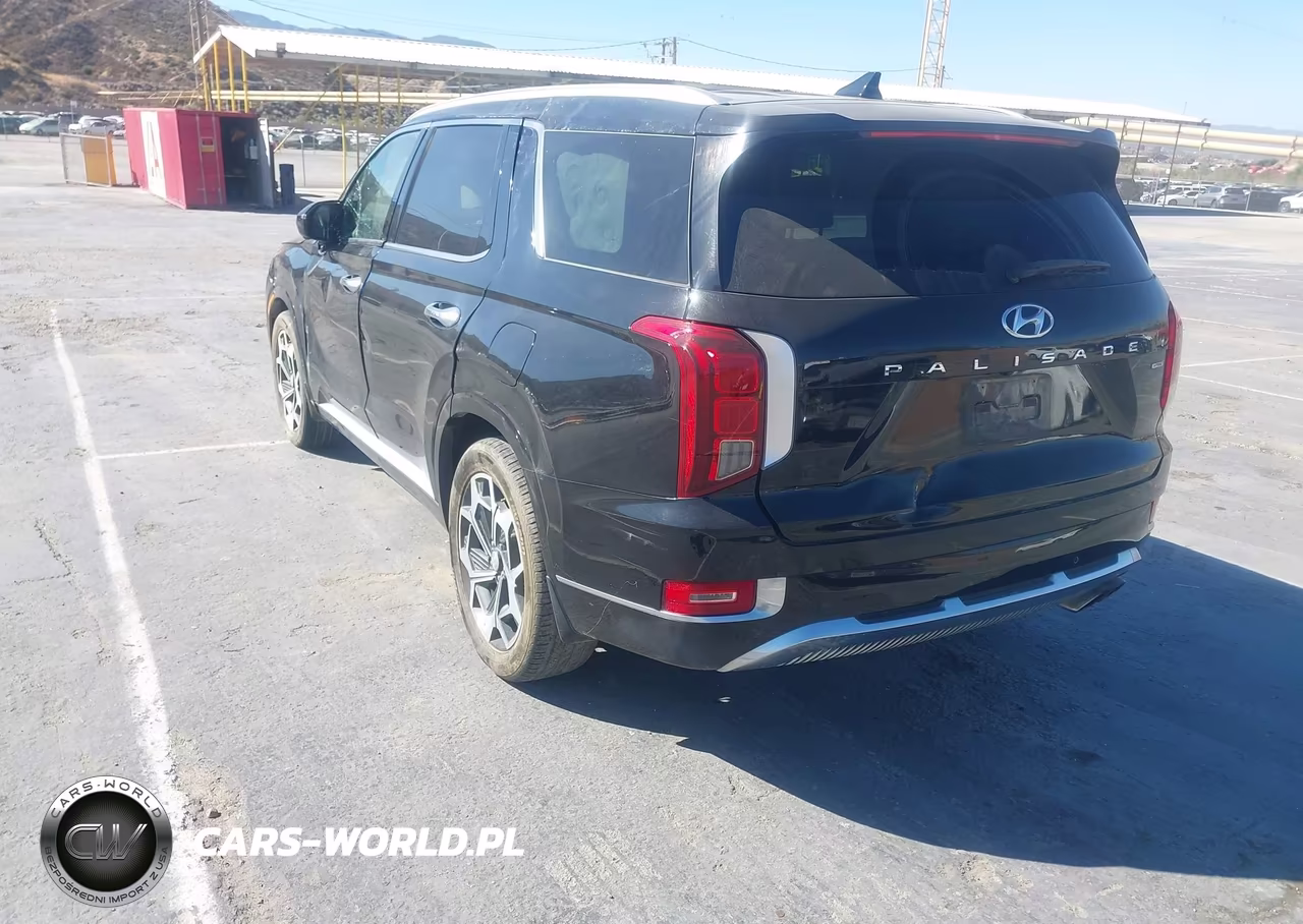 2021 Hyundai Palisade Calligraphy VIN:KM8R7DHE4MU185853 - 3