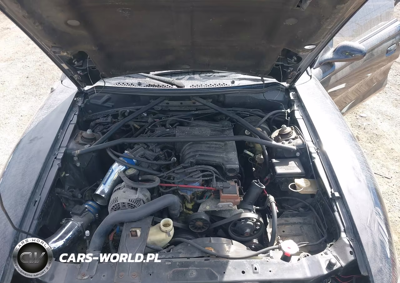 1995 Ford Mustang VIN:1FALP4041SF191291 - 10