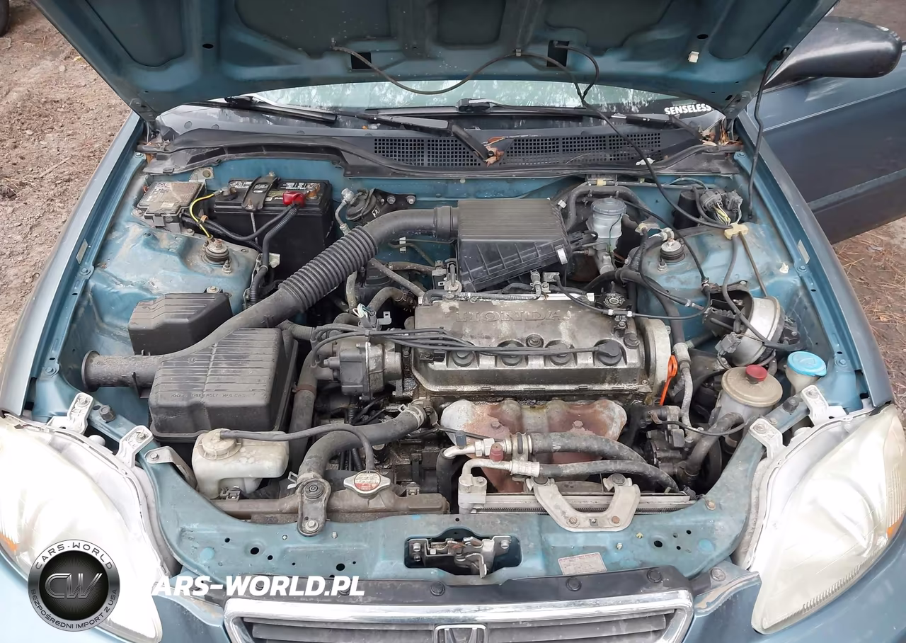 1998 Honda Civic Lx VIN:2HGEJ6672WH623040 - 10