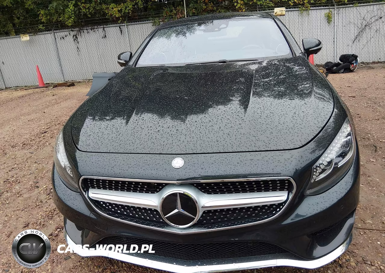 2015 Mercedes-Benz S 550 4Matic VIN:WDDXJ8FB8FA000923 - 13