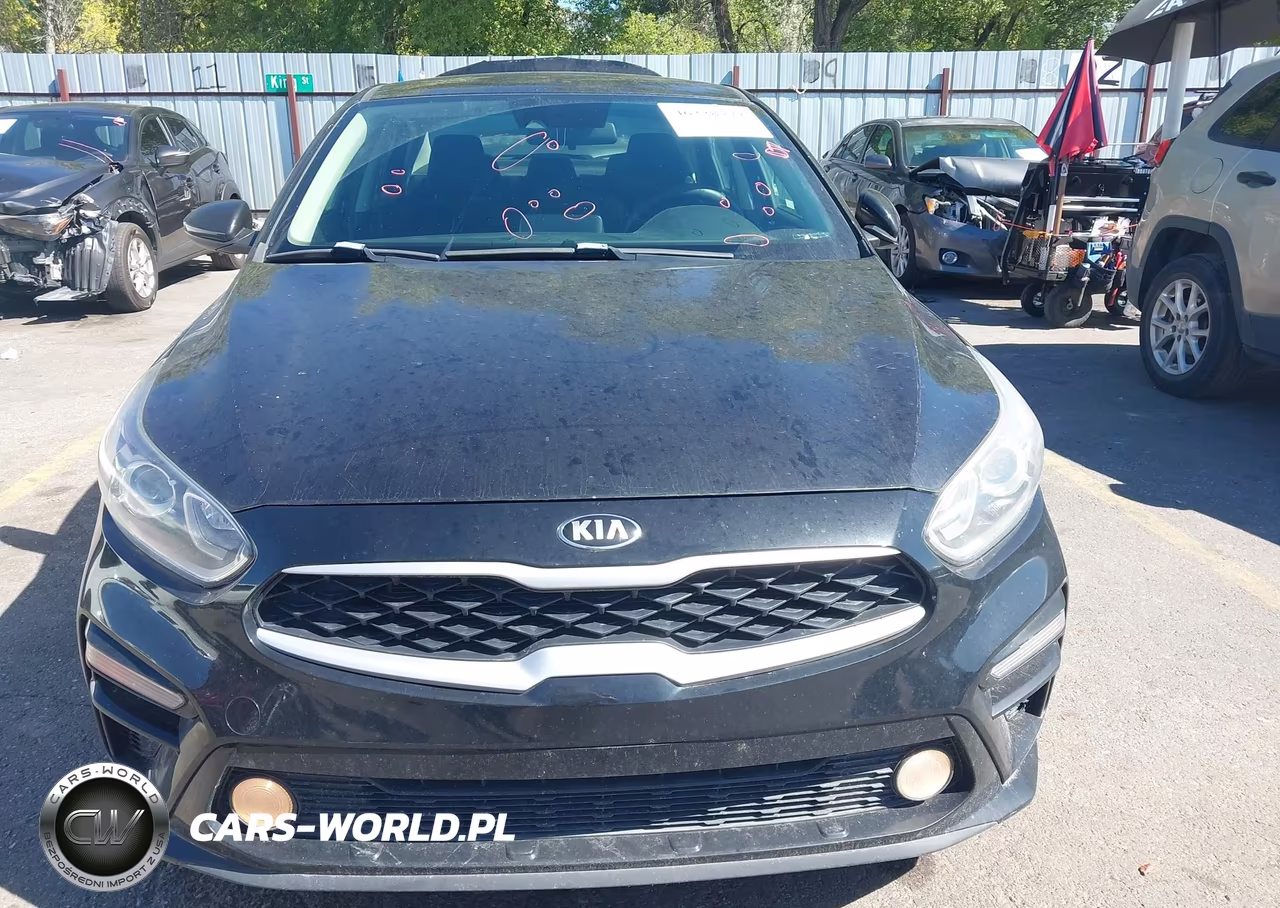 2019 Kia Forte Lxs VIN:3KPF24AD1KE058755 - 12